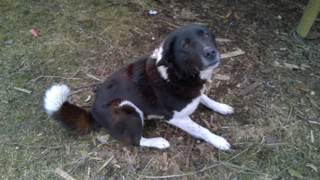 Autors: no personiskā arhīva