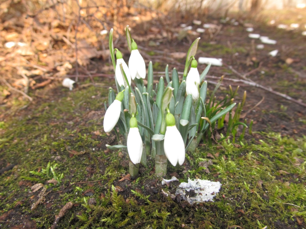 Autors: Aija Konrāde