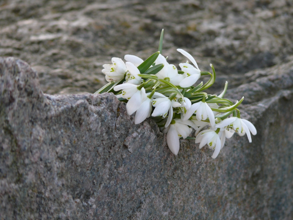 Autors: no interneta