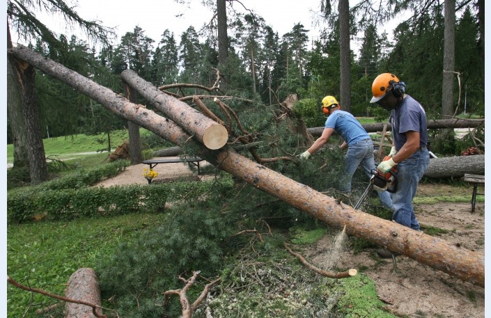 Autors: www.diena.lv