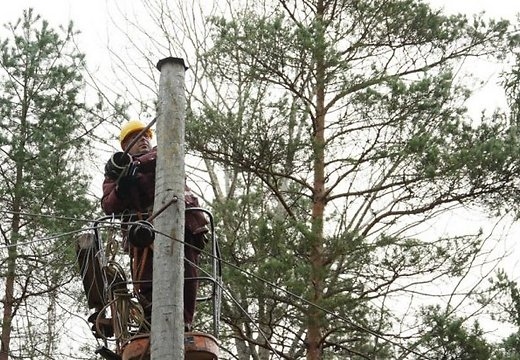 Autors: www.delfi.lv