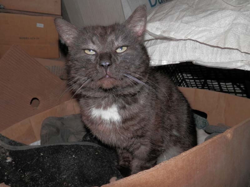 Autors: no personiskā arhīva