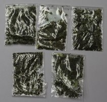 Autors: no interneta