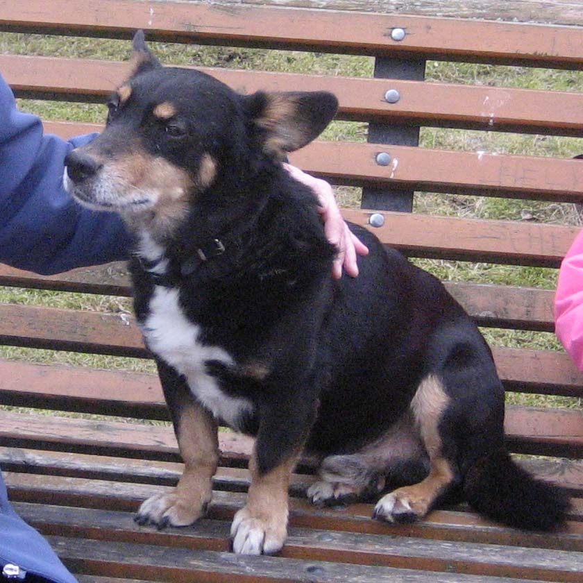 Vai atradīsies vēl kāds cilvēks, kurš Duksim viņa vecumdienās būs kā plāksteris uz viņa salauztās sirds?
Autors: Diāna Odumiņa