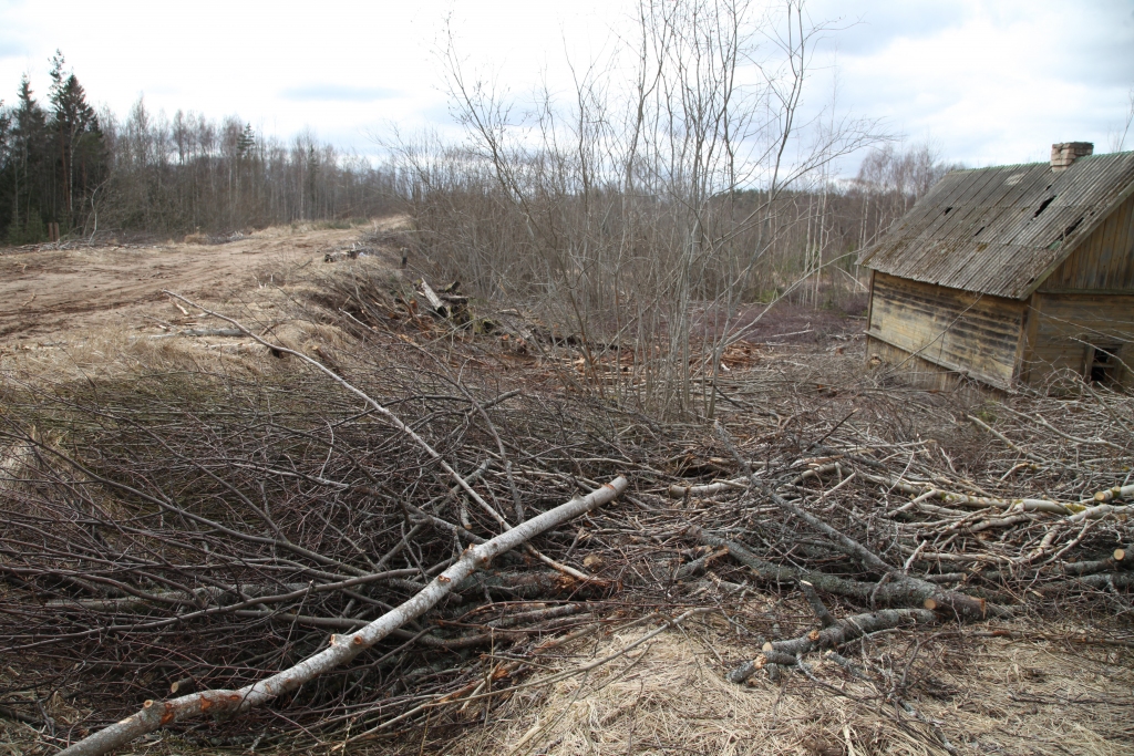 Valsts akciju sabiedrības „Latvijas dzelzceļš” teritorijā, kurā ietilpst arī bijusī Galgauskas stacija, šobrīd valda liela nekārtība. Atliek cerēt, ka firma, kas izgriež lietkoksni un krūmus, neaizmirsīs visu sakopt. 
Autors: Gatis Bogdanovs 