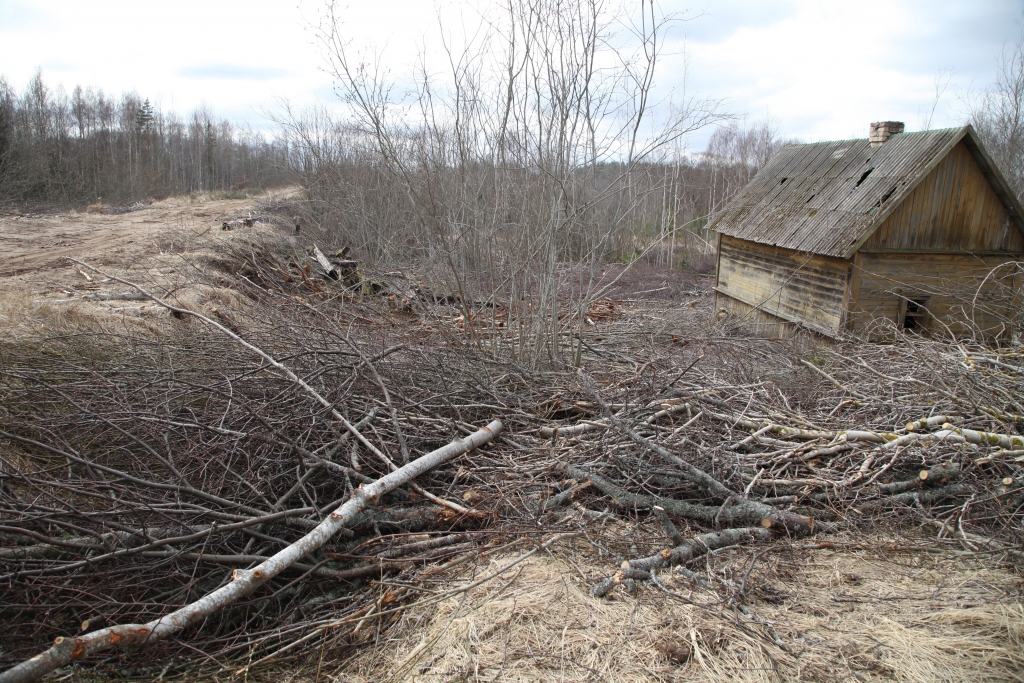 Autors: Gatis Bogdanovs