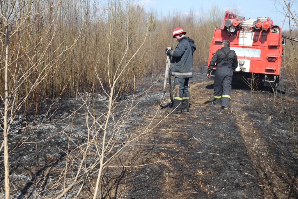 Autors: Gatis Bogdanovs