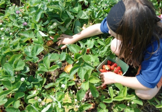 Autors: www.focus.lv