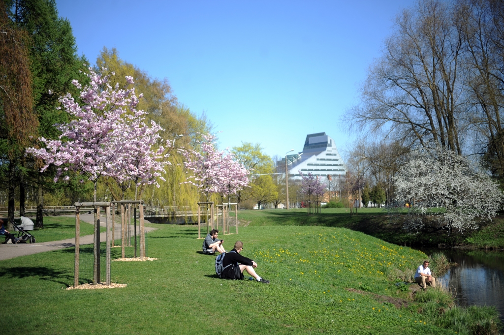 Aluksniesiem.lv raksta attēla aizvietotājs
