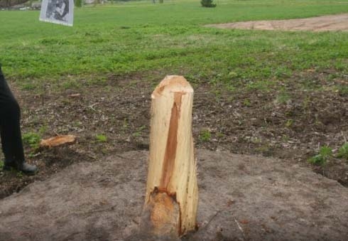 Daudzviet tā arī nav zināms, vai zeme aiz kupicas pieder ārvalstniekam vai vietējam zemniekam, jo ārvalstnieks var iegādāties īpašumu Latvijā ar konkrēto pašvaldību neko nesaskaņojot. Tā sakot, privātīpašnieku darīšana. 