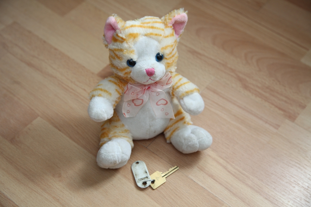 Autors: Gatis Bogdanovs