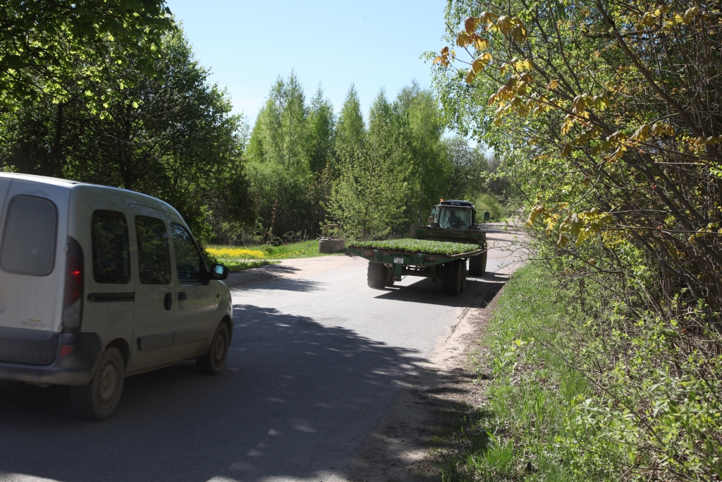 Šogad plānots veikt apauguma novākšanas darbus ceļiem posmā Tirza-Velēna (attēlā) un Druviena-Lizums. 
Autors: Gatis Bogdanovs