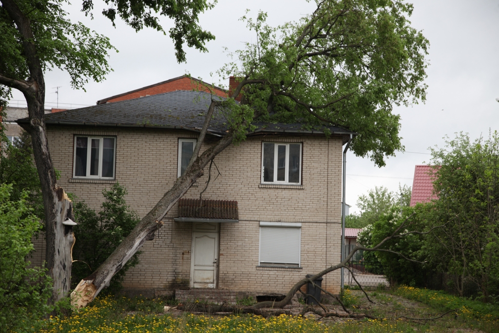Pat jumts ieliecies! Otrdienas vakarā vētras lauzta gobas daļa uzkrita dzīvojamās mājas jumtam Gulbenē, Lazdu ielā. Pašlaik gan šajā mājā cilvēki nedzīvo. Ēkas īpašniece ir banka, kurai arī būs jāgādā par koka novākšanu un jāapsver, vai nozāģējama visa lielā goba, kas aug blakus mājai. 
Autors: Gatis Bogdanovs