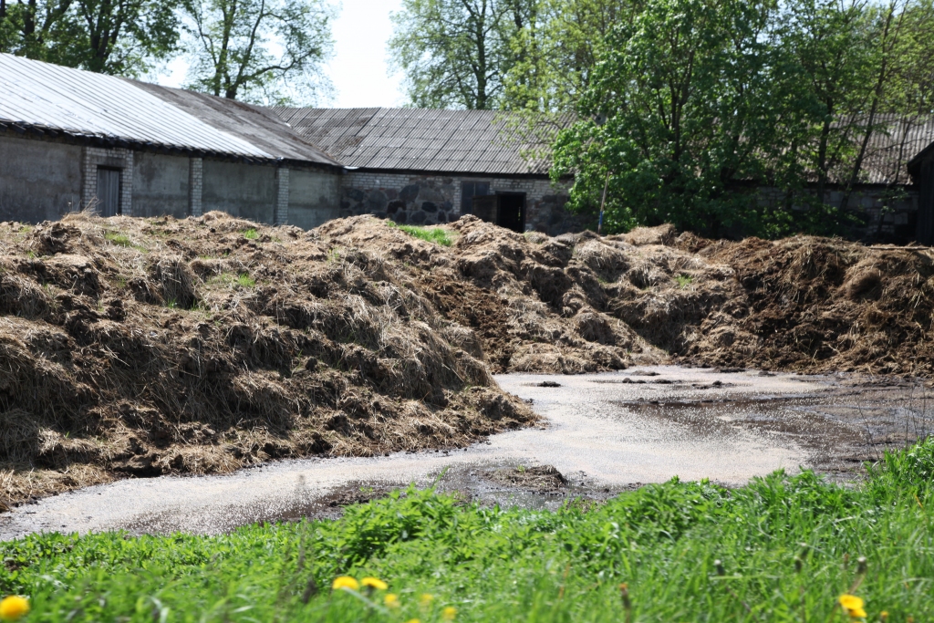 Šādas kūtsmēslu krātuves pie fermām, kurās ir vairāk par desmit dzīvnieku vienībām, pēc 28.jūlija vairs nedrīkstēs būt. Tikai tādā gadījumā, ja saimniecībā izbūvētās krātuves tilpums ir mazāks nekā reālais kūtsmēslu daudzums, iespējama to pagaidu uzglabāšana uz lauka. 
Autors: Gatis Bogdanovs