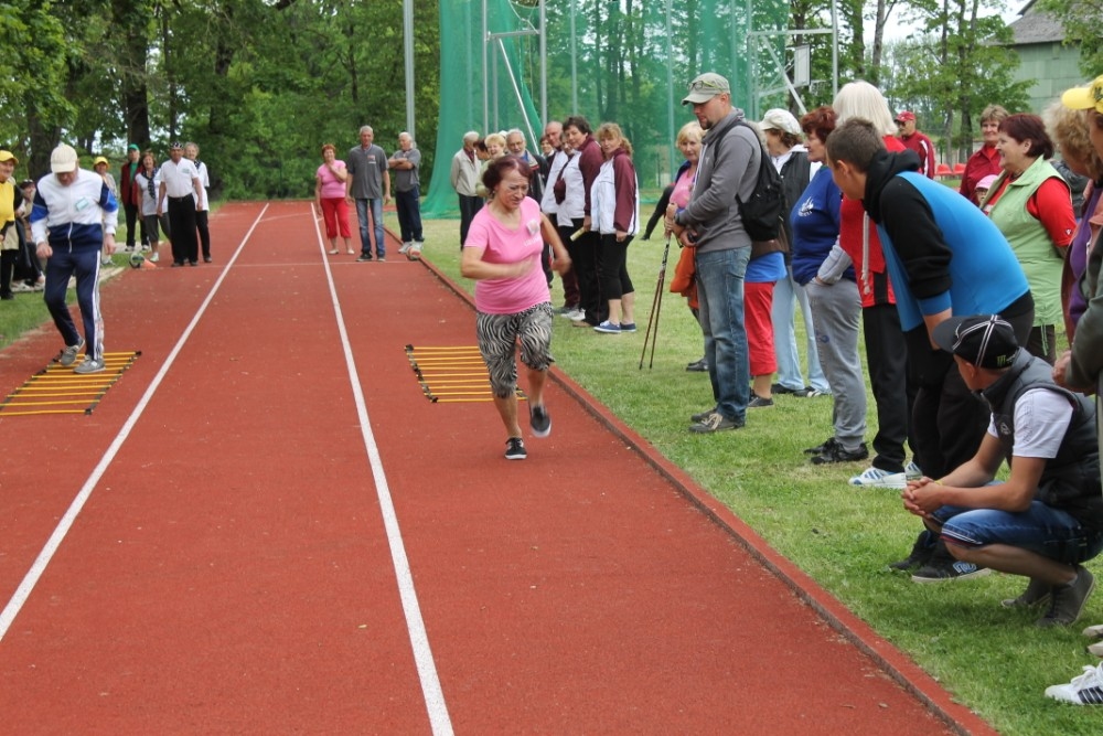 Autors: Ziedonis Lazdiņš