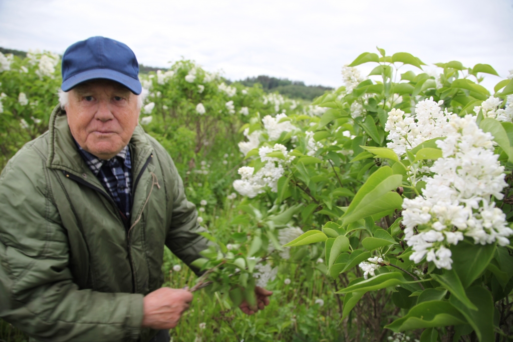 Autors: Gatis Bogdanovs
