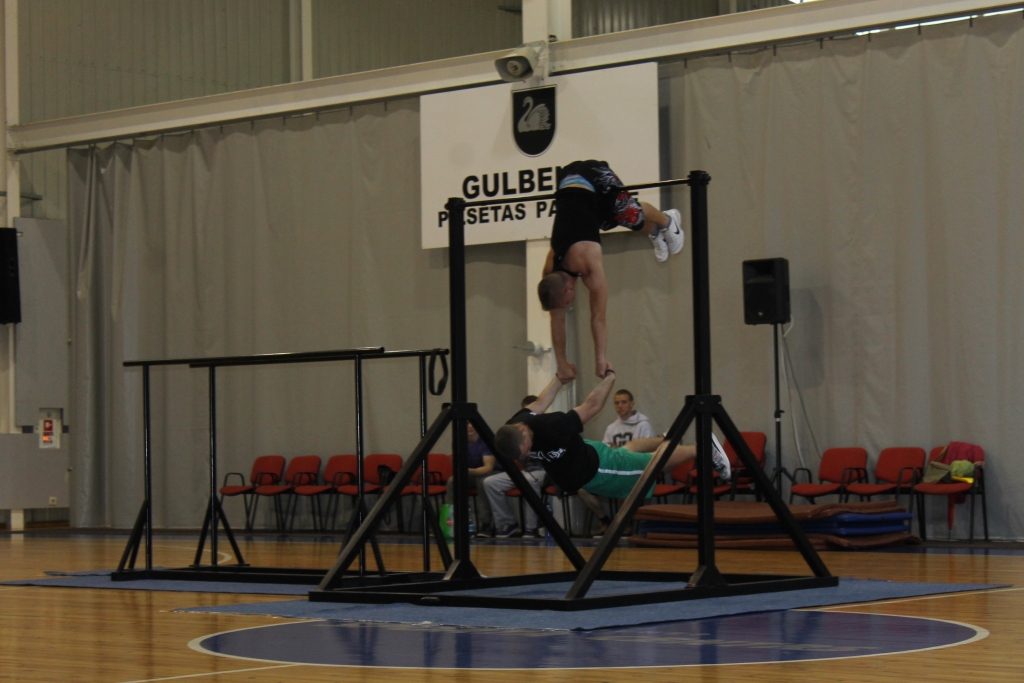 Autors: Ziedonis Lazdiņš