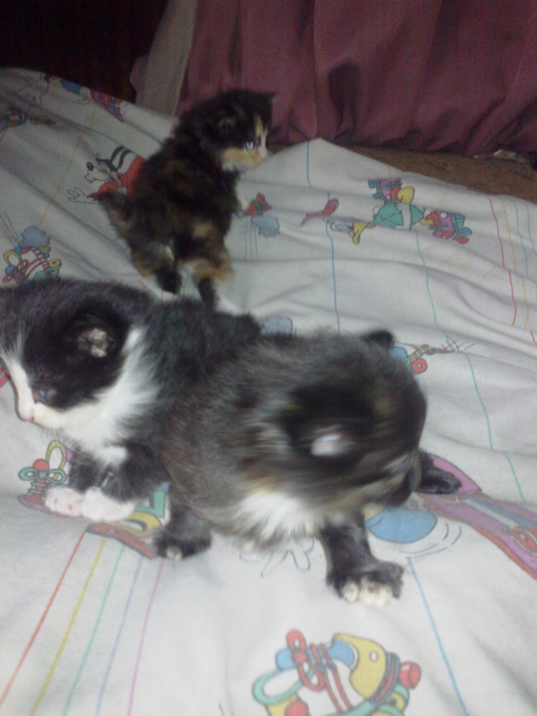 Autors: no personiskā arhīva