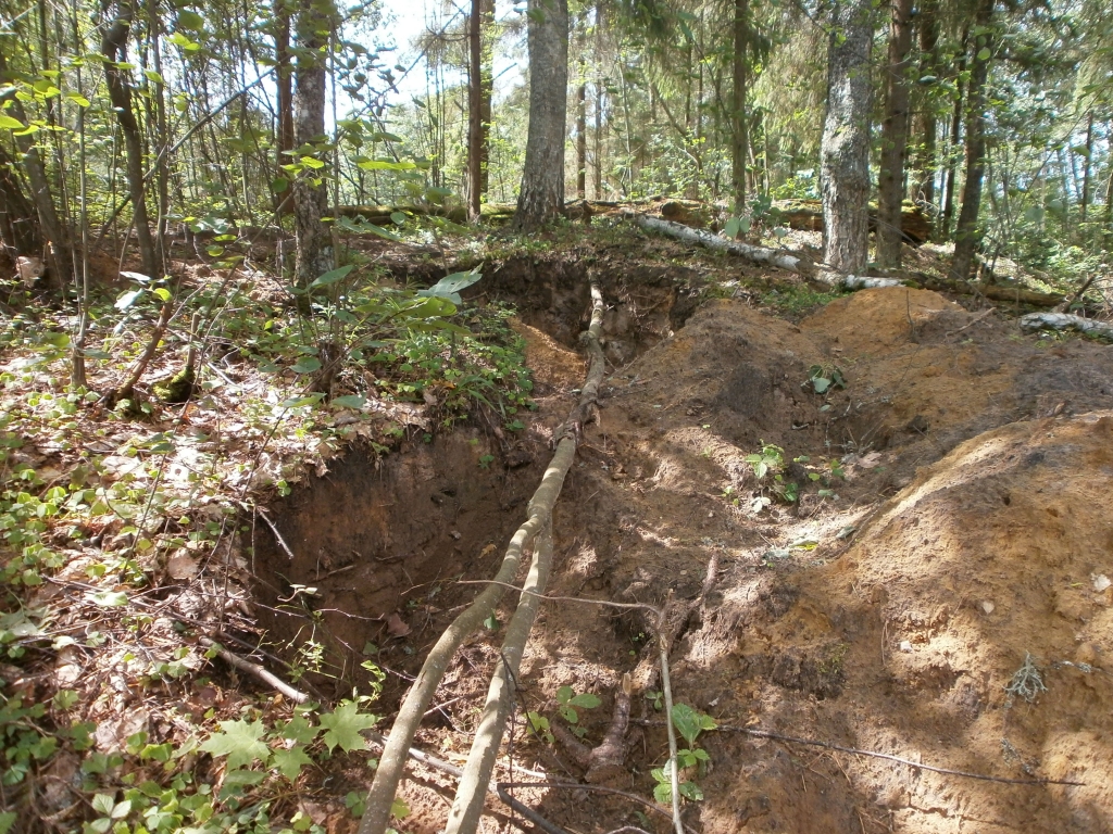 Kārtējo reizi senkapos ir uzdarbojušies mantrači. Šoreiz tas ir noticis Dumpurnieku senkapos Beļavas pagastā.
Autors: Sarmīte Dundure