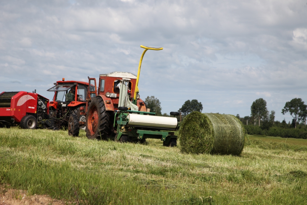 Gulbenes novada lauksaimnieki pacietīgi gaida īsta siena laika iestāšanos, jo pļavās zāle sāk pāraugt, toties cītīgi gatavo zaļās masas ruļļus. 
Autors: Gatis Bogdanovs
