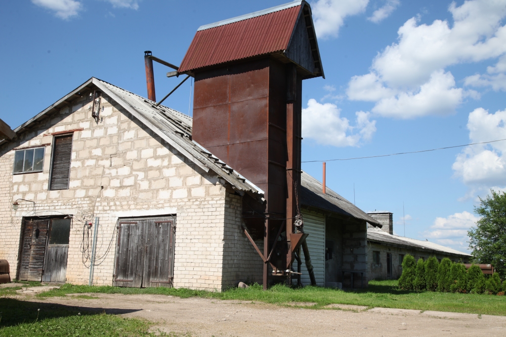 Mūsu novadā viena no lielākajām cūku audzētavas fermām atrodas Stradu pagastā. Tās saimnieks Aivars Pabērzs ir piesardzīgs un svešus cūku kūtī nelaiž.  
Autors: Gatis Bogdanovs