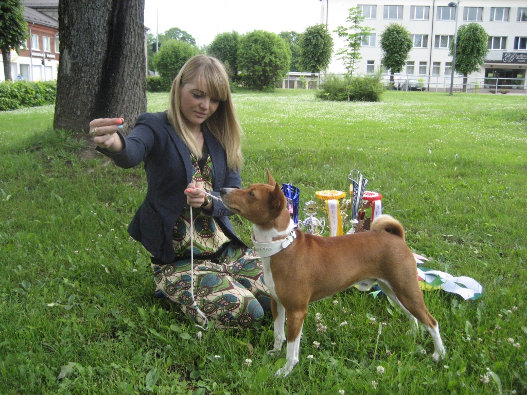 Suns, kas nerej un kuru sauc par Riku, ir vienīgais basendži šķirnes pārstāvis, kas līdz šim redzēts Gulbenē. Saimniecei Līvai Porietei prieks par dzīvnieka sasniegumiem, piedaloties suņu izstādēs. Ir jau iekrājušies saņemtie kausi, medaļas un diplomi! 
Autors: Diāna Odumiņa