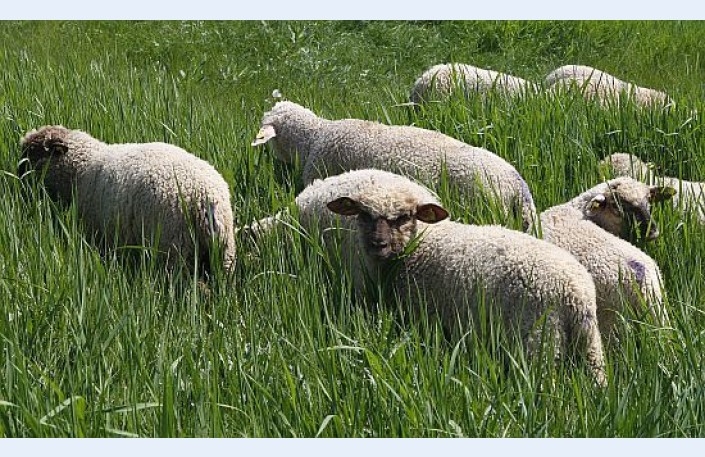 Autors: no personīgā arhīva