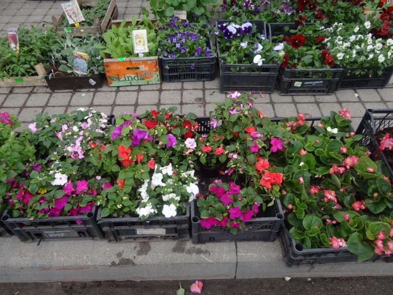 Autors: no personīgā arhīva