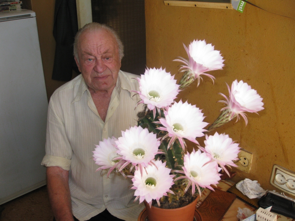 Skaistums iepriecina grūtā brīdī. Uzziedējušais kaktuss mierina saimnieku Jāni Jauniņu, kura dzīvesbiedre Elfrīda pašlaik ir uz slimības gultas, jo atkopjas pēc pārciestās operācijas.
Autors: Diāna Odumiņa