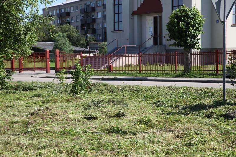 

Vēl pagājušajā nedēļā te kuploja pāraugusi zāle, bet, gaidot Gulbenes Pilsētas svētkus, pļavas vairs nav. Atlicis vēl tikai sakasīt zāli. 
Autors: Ginta Alberte