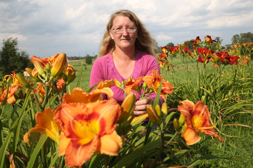Stāmerienas pamatskolas skolotāja Līga Velpa, kura šogad pagastā organizējusi braucienu arī uz puķu draugu saietu Priekuļos, pamazām veido arī dienliliju kolekciju. „Lilijas arī ir dāvinātas, atvestas un iemainītas. Dažas no tām ir kā noslēpums, jo nezinu, kādā krāsā uzziedēs. Pacietīgi ar interesei gaidu to brīdi. Nevaru minēt vienas puķes, kas patīk visvairāk, jo katram gadalaikam piestāv savi ziedi,” uzskata Līga. 
Autors: Gatis Bogdanovs