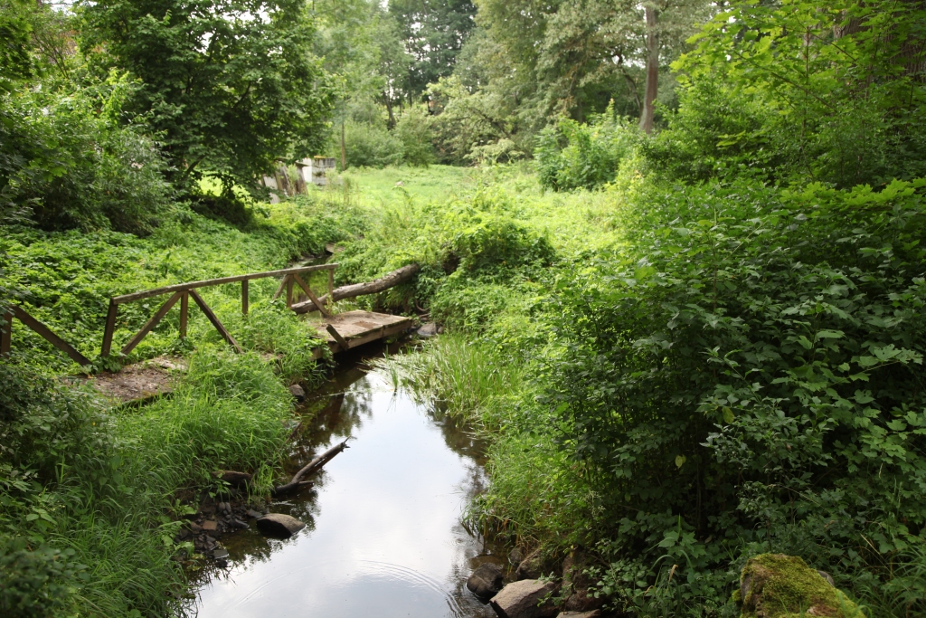 Skaistā vietā! Rūdolfa parkā kādreiz un arī šodien ir vairāki tiltiņi pāri skaistajiem Krustalīces līkumiem. Šis parks ir ļoti vecs, koki simtgadīgi. To augstums pārsniedz pat 30 metrus. 
Autors: Gatis Bogdanovs