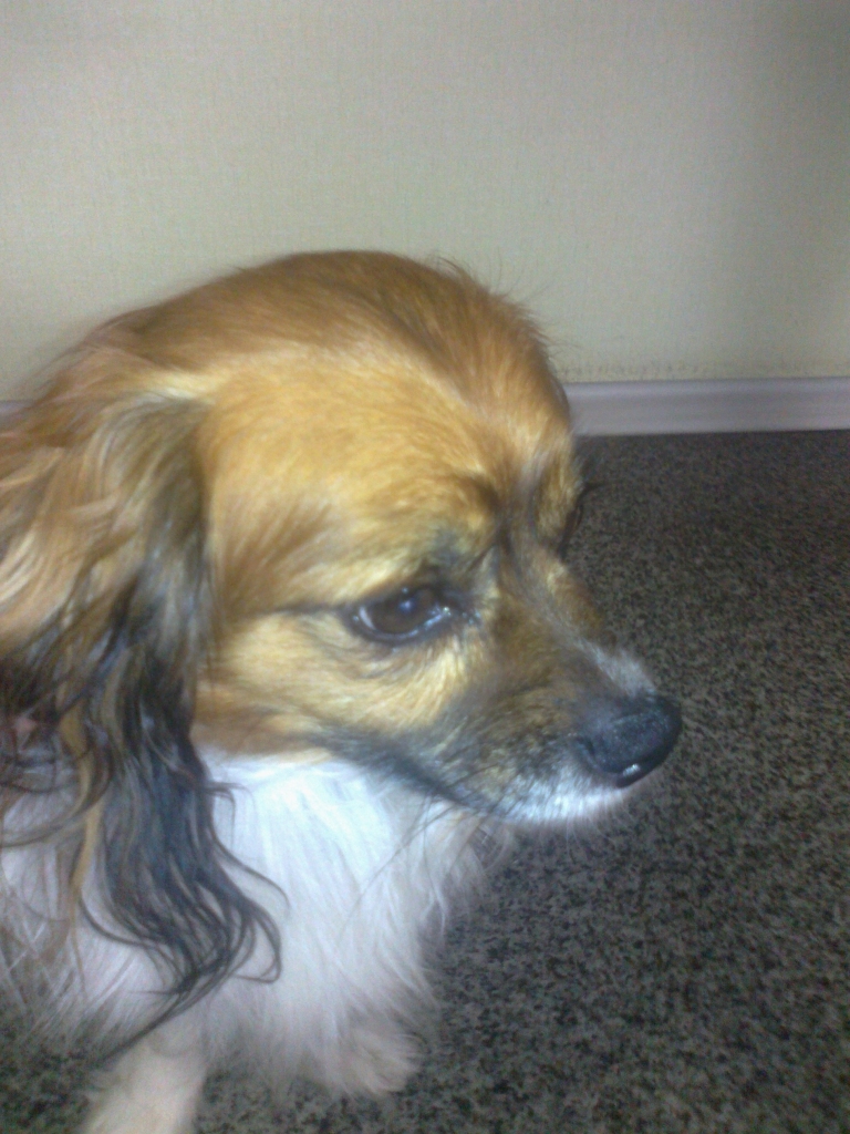 Autors: no personiskā arhīva