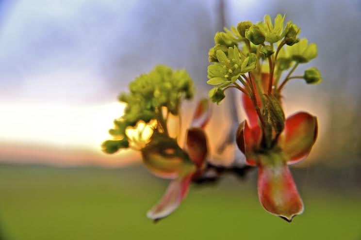 Autors: no Lizuma galerijas 