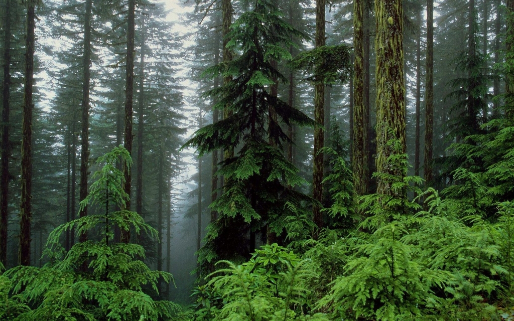 Autors: no interneta