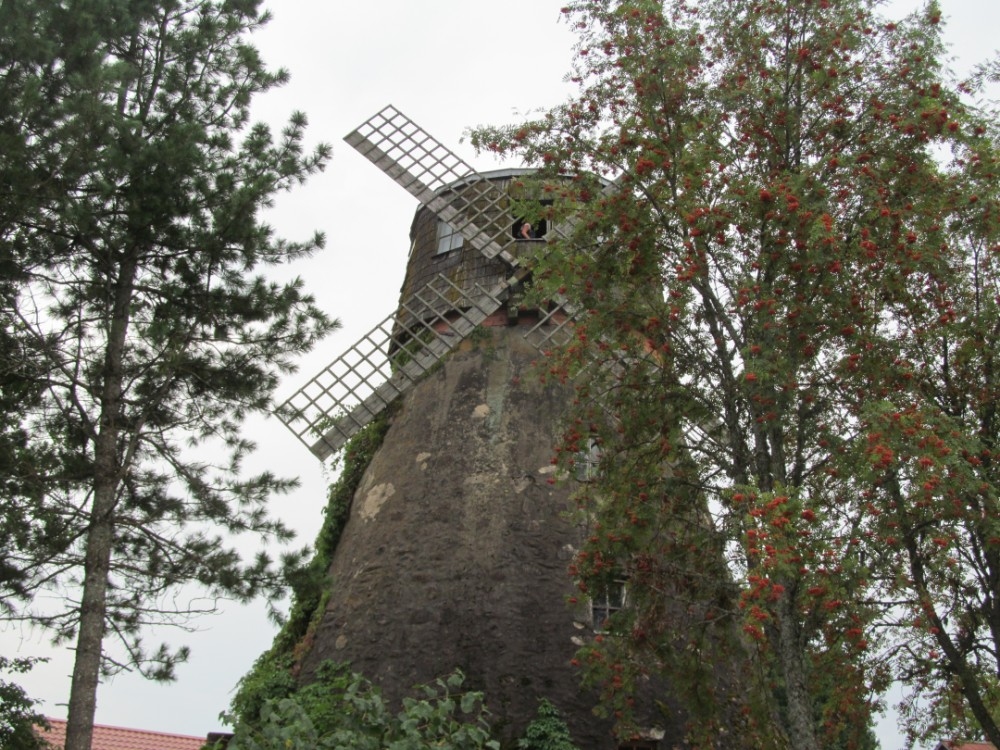 Autors: Diāna Odumiņa