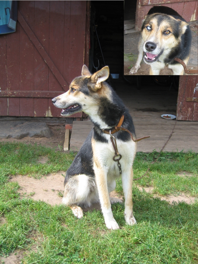 Autors: Jana Igaviņa