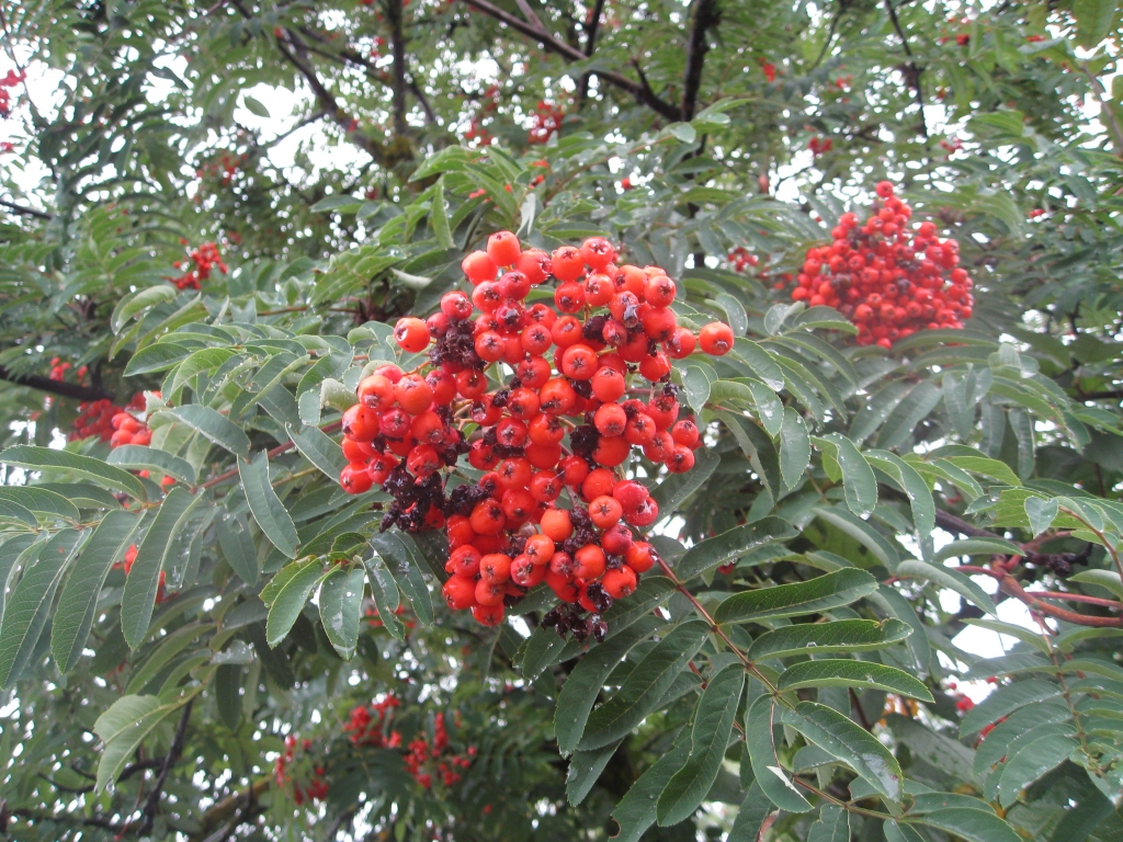 Autors: no personiskā arhīva