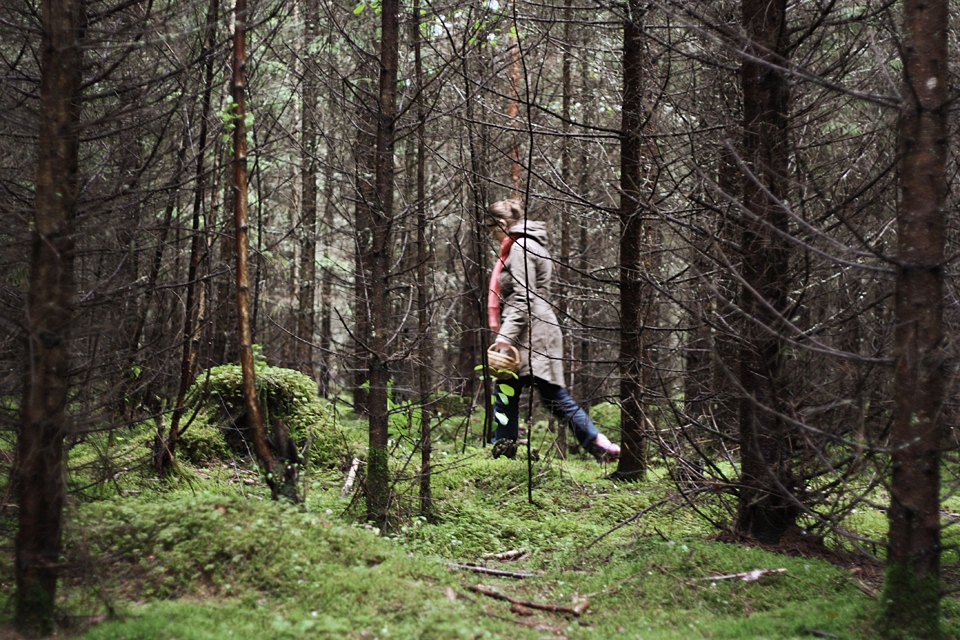 Autors: no interneta