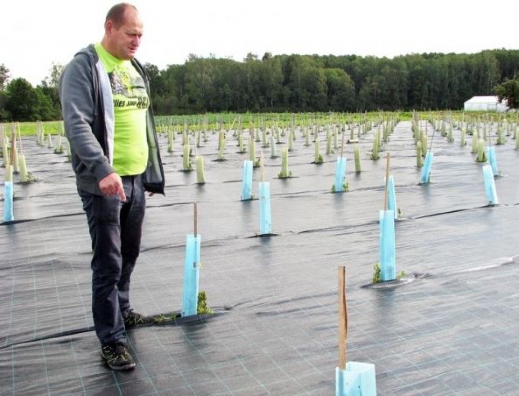 Aluksniesiem.lv raksta attēla aizvietotājs