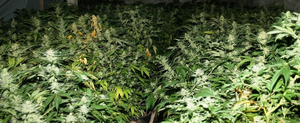 Autors: no policijas arhīva