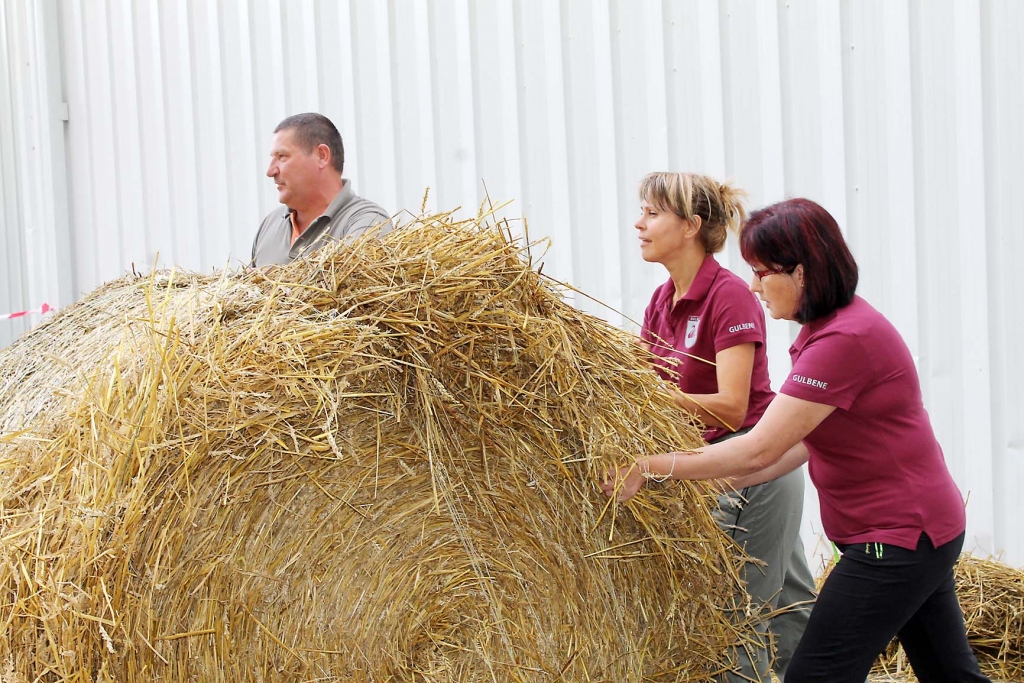 Meitenes, es mīcīšu mīklu, jūs - “rullējiet”! To padotajām darbiniecēm liek saprast Gulbenes pārvaldnieks Jānis Naglis
Autors: Ziedonis Lazdiņš