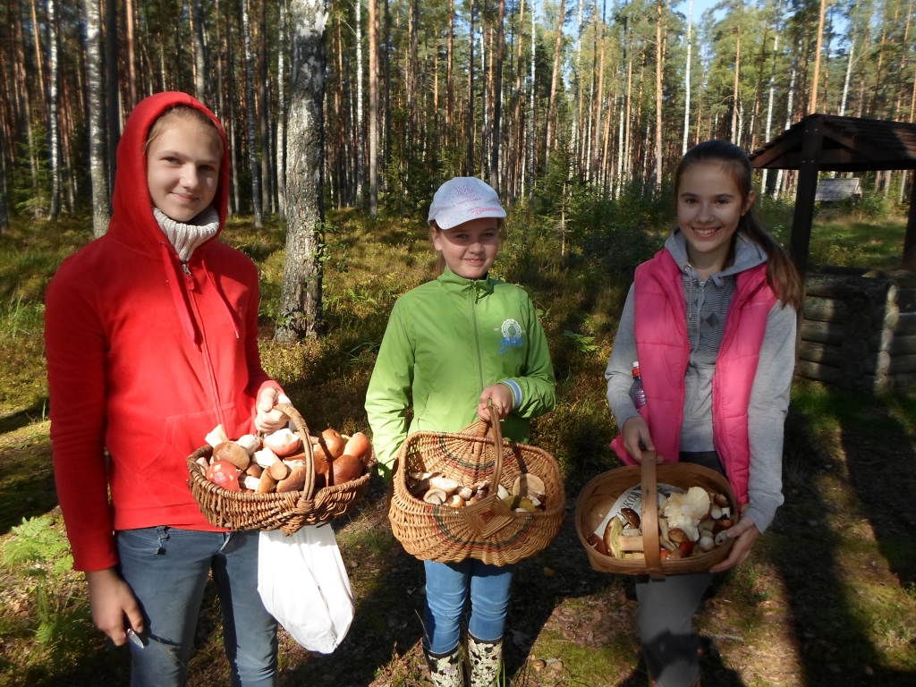 Pilni grozi ar sēnēm! Atrāda  Annija Sintija Toma, Evelīna Marisa Mazūre un Simona Anna Cāne. 
Autors: no personiska arhīva