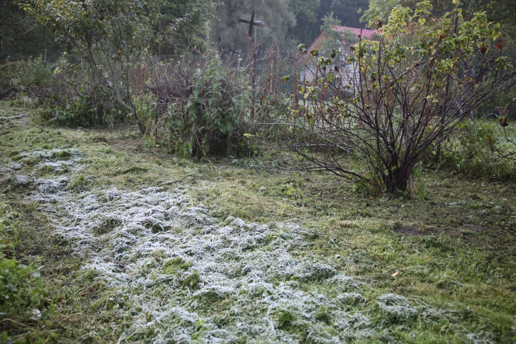 Autors: Gatis Bogdanovs