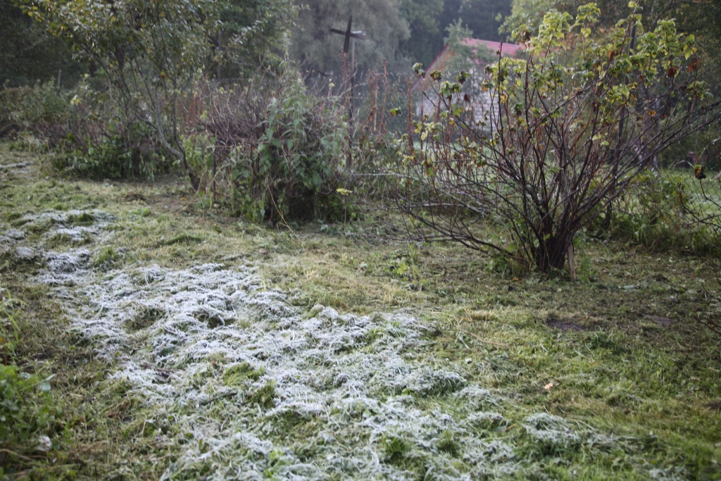 Autors: Gatis Bogdanovs