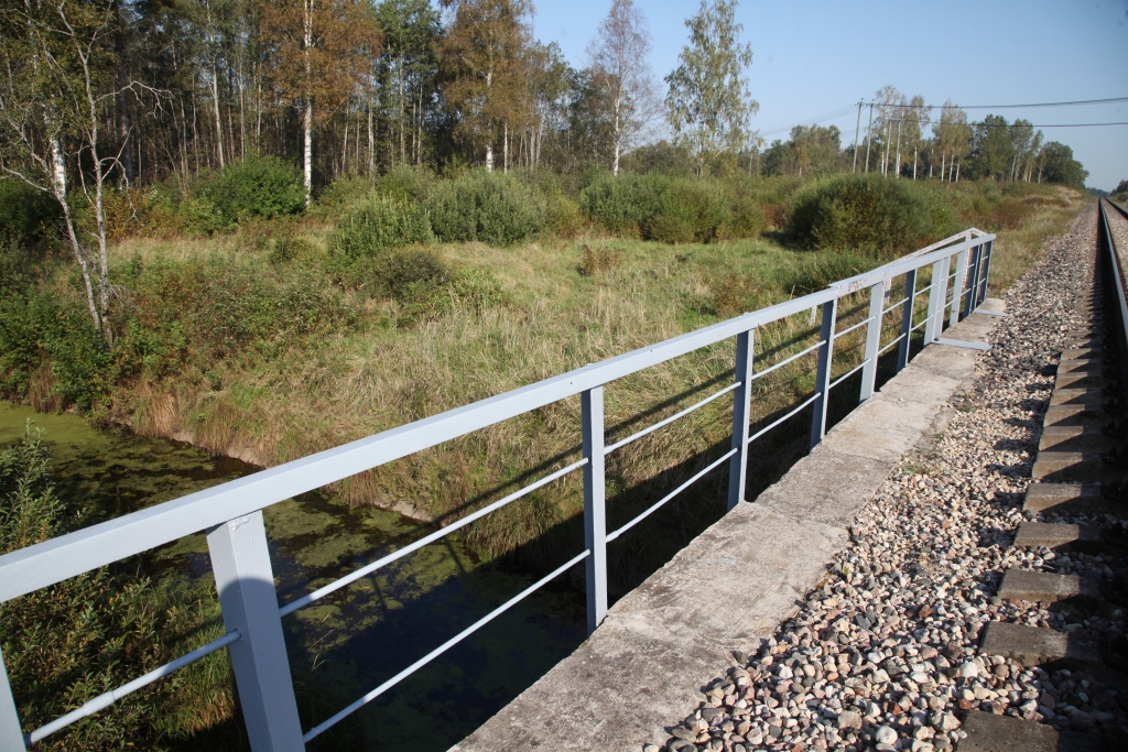 Kāpēc gan te, Krustalīces krastā netālu no Gulbenes-Madonas šosejas, nevarētu atrasties Gulbenes peldvieta?   
Autors: Gatis Bogdanovs