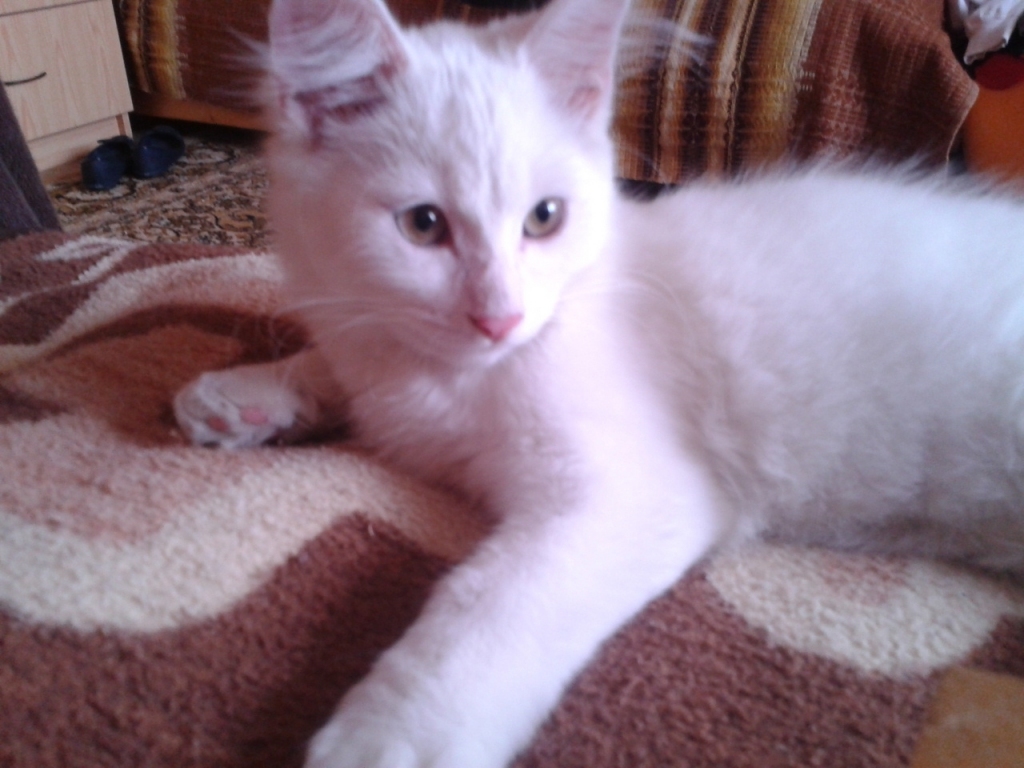 Autors: no personiskā arhīva