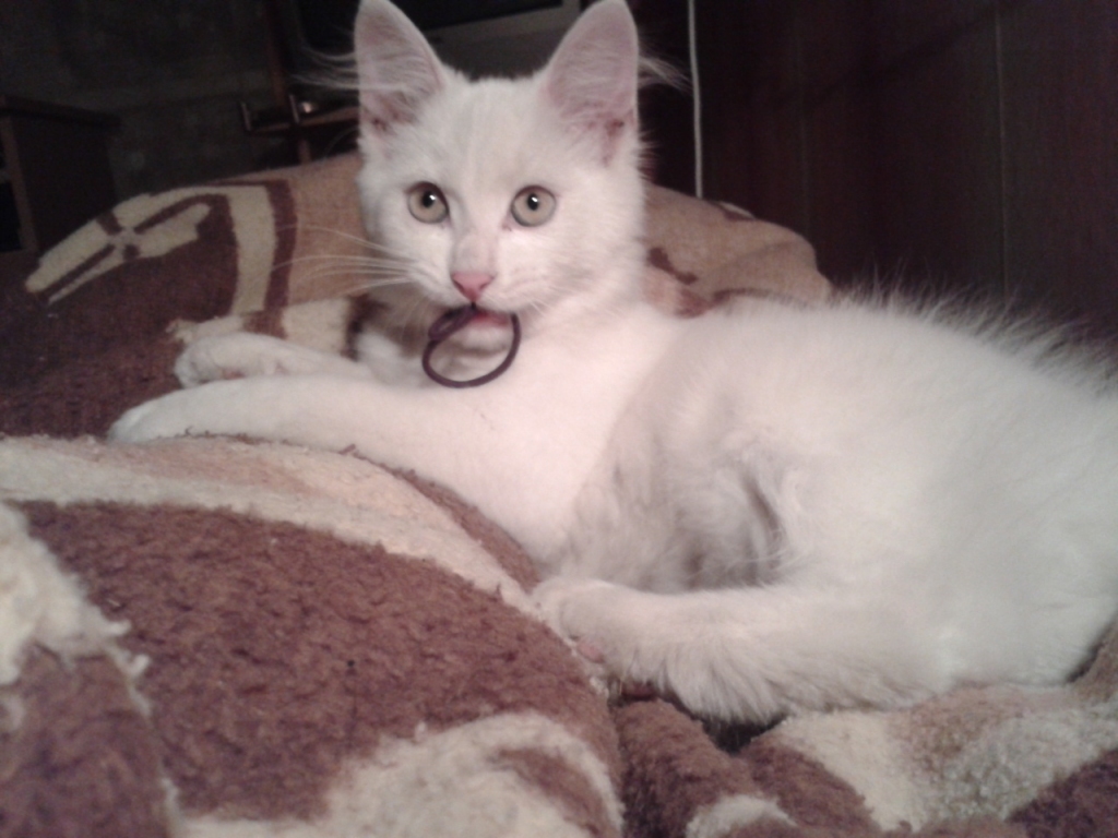 Autors: no personiskā arhīva