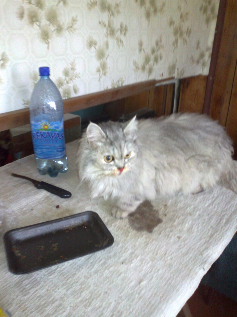 Autors: no personiskā arhīva