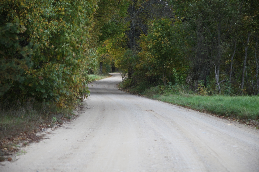 Arī “Dzirkstele” pārliecinājās, ka ceļš Ozolkalns-Galgauska ir pamatīgi aizaudzis. 
Autors: Gatis Bogdanovs